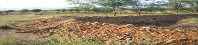 Soil and moisture conservation Gramin Vigyan Seva Sansthan (GVSS) gvssindia.org